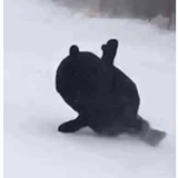 さくら 