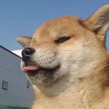 ken 