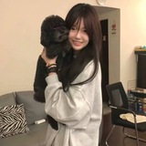甘昭 