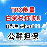 . 白資代付-TRX能量